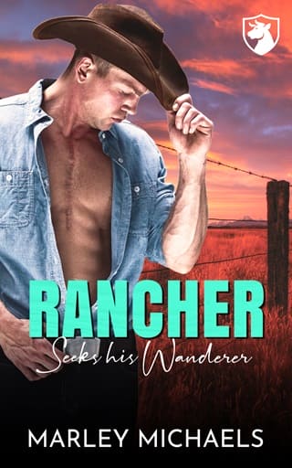 Rancher Seeks his Wanderer by Marley Michaels