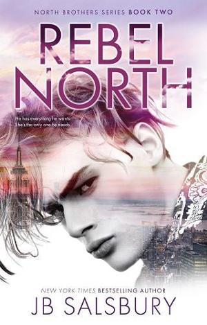 Rebel North by J.B. Salsbury