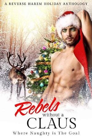 Rebels Without a Claus by M.J. Marstens
