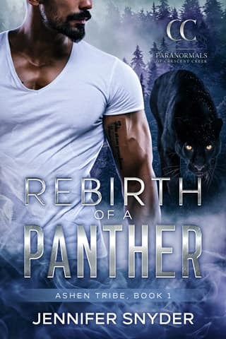 Rebirth Of A Panther by Jennifer Snyder