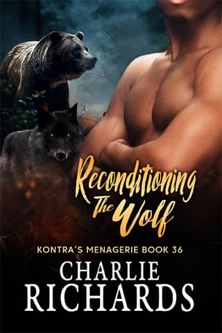 Reconditioning the Wolf by Charlie Richards