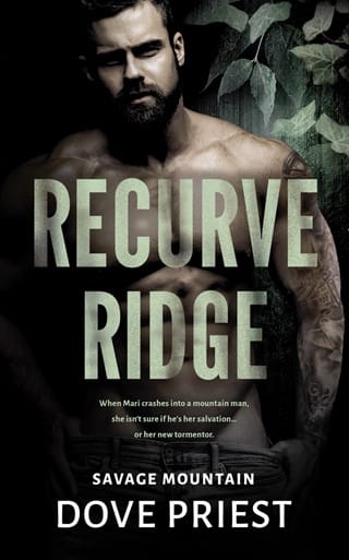 Recurve Ridge by Dove Priest