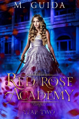 Red Rose Academy, Year Two by M Guida