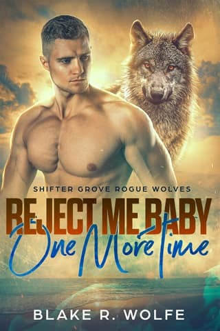 Reject Me Baby One More Time by Blake R. Wolfe