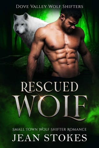 Rescued Wolf by Jean Stokes