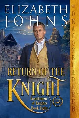 Return of the Knight by Elizabeth Johns