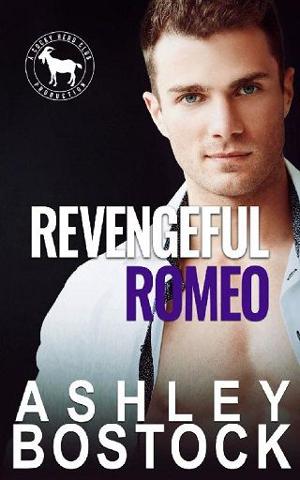 Revengeful Romeo by Ashley Bostock