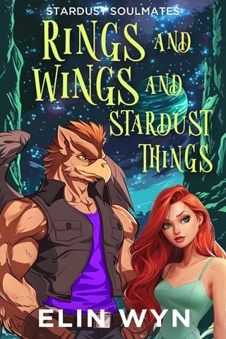 Rings and Wings and Stardust Things by Elin Wyn