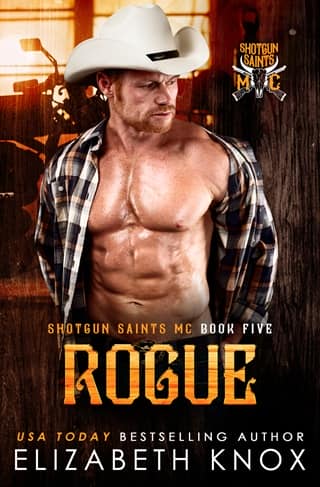Rogue by Elizabeth Knox