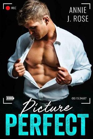 Picture Perfect by Annie J. Rose
