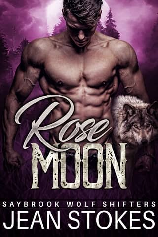 Rose Moon by Jean Stokes