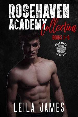 Rosehaven Academy Collection by Leila James