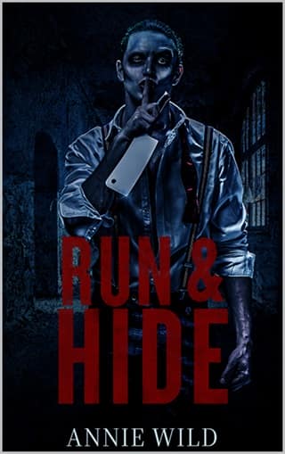 Run & Hide by Annie Wild