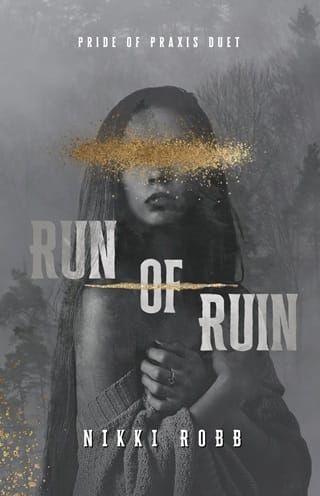 Run of Ruin by Nikki Robb