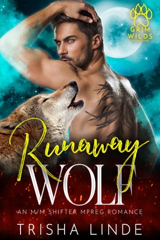 Runaway Wolf by Trisha Linde
