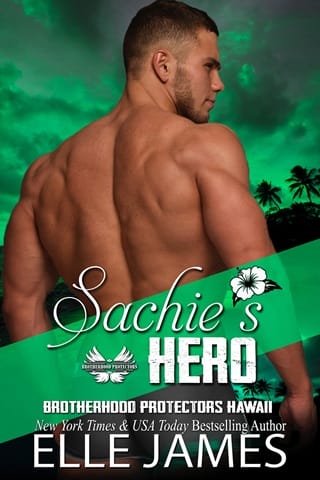 Sachie’s Hero by Elle James