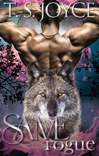 Same Rogue by T. S. Joyce