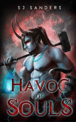 Havoc of Souls by S.J. Sanders