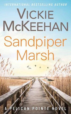 Sandpiper Marsh by Vickie McKeehan