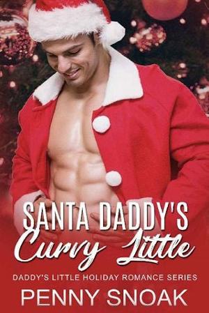 Santa Daddy’s Curvy Little by Penny Snoak