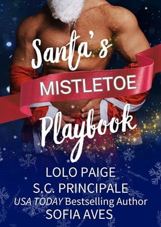 Santa’s Mistletoe Playbook by Sofia Aves