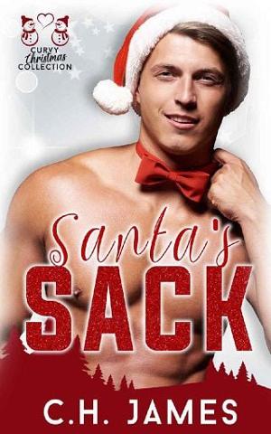 Santa’s Sack by C.H. James