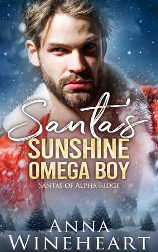Santa’s Sunshine Omega Boy by Anna Wineheart
