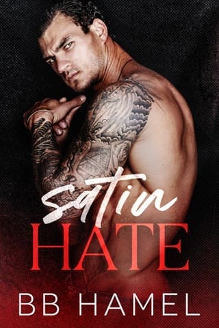 Satin Hate by B. B. Hamel