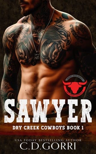 Sawyer by C.D. Gorri