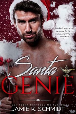 Santa Genie by Jamie K. Schmidt