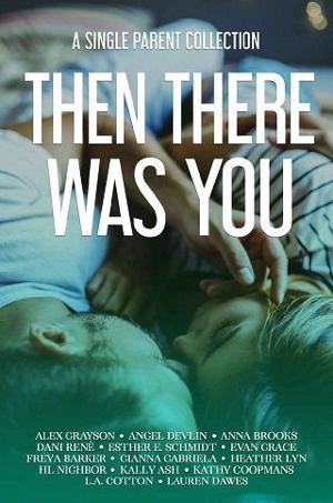 Then There Was You: A Single Parent Collection by Esther E. Schmidt