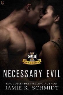 Necessary Evil by Jamie K. Schmidt