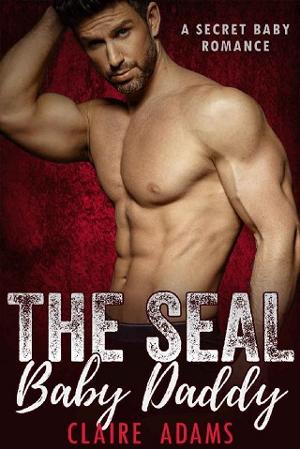 SEAL Baby Daddy by Claire Adams