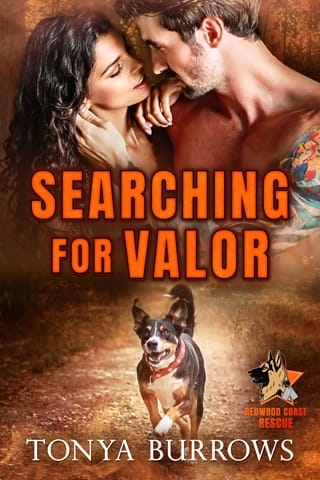 Searching for Valor by Tonya Burrows