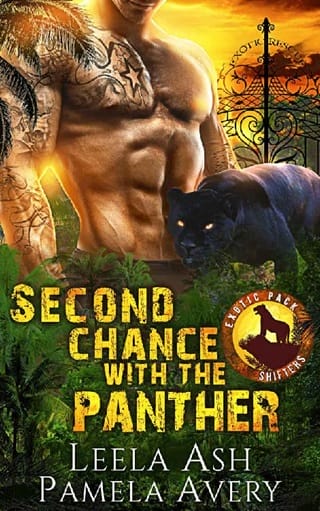 Second Chance with the Panther by Leela Ash