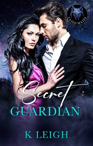 Secret Guardian by K Leigh