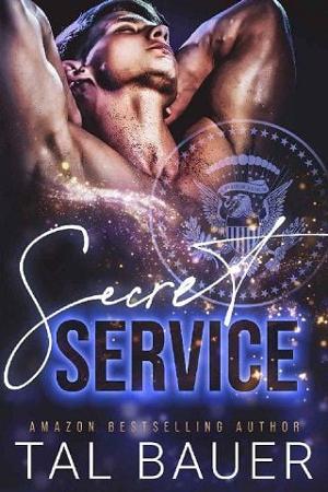 Secret Service by Tal Bauer