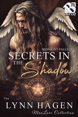 Secrets in the Shadow by Lynn Hagen