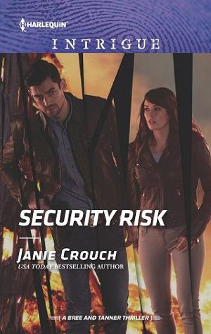 Security Risk by Janie Crouch