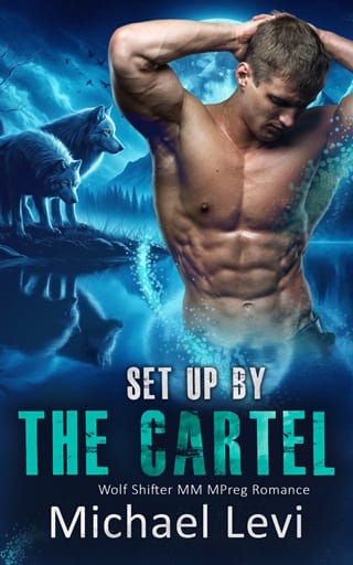 Set Up By the Cartel by Michael Levi