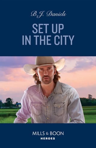 Set Up In The City by B.J. Daniels
