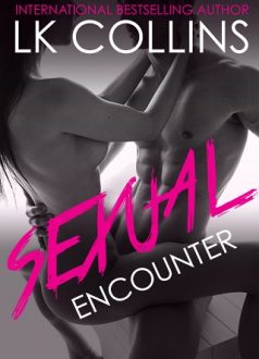 Sexual Encounter by LK Collins