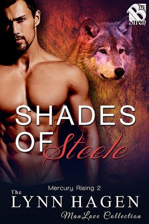 Shades of Steele by Lynn Hagen