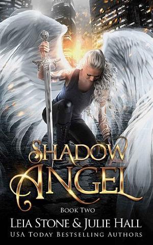 Shadow Angel #2 by Leia Stone