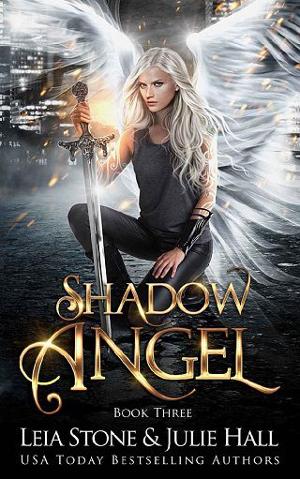 Shadow Angel #3 by Leia Stone