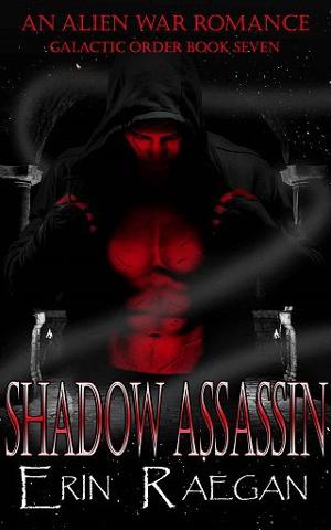 Shadow Assassin by Erin Raegan