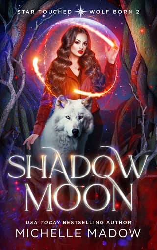 Shadow Moon by Michelle Madow