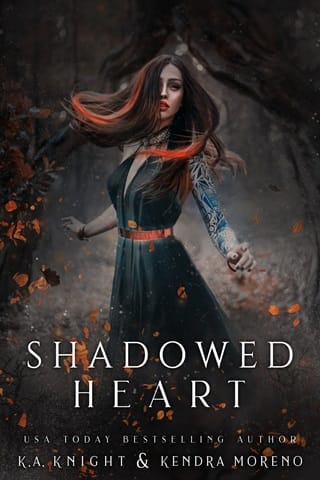 Shadowed Heart by K.A Knight