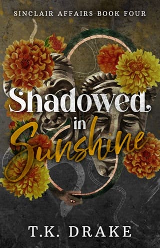 Shadowed in Sunshine by T.K. Drake