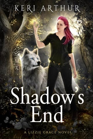 Shadow’s End by Keri Arthur